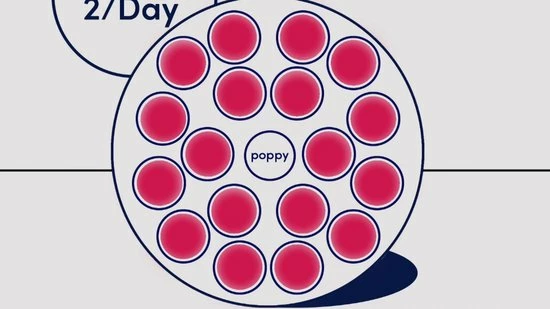 POPPI Infrarood Lamp IR237 54W - Rood & Infrarood Lichttherapie Lamp Met 18 LED's - 660nm/850nm- Draagbare Reislamp - Hoge Stralingssterkte - Lichttherapie Apparaat Voor Depressie, Anti-aging, Pijnbestrijding, Spierherstel + INCL Reistas - Afbeelding 2