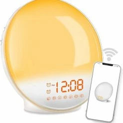 DistinQ Wake-Up Light ? Wifi Smart ? Wekkerradio Met Dubbele Wektijd ? Slaaphulp Met USB Aansluiting